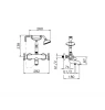 Huber Victorian Thermostatische Badkraan met douchegarnituur RVS VTT330102A